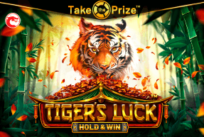 Play Tiger’s Luck – HOLD & WIN