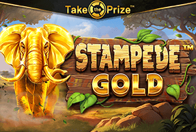 Play STAMPEDE GOLD
