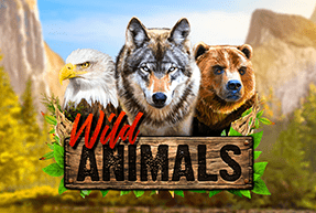 Play Wild Animals