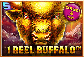 Play 1 Reel Buffalo