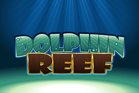Dolphin Reef
