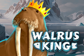 Walrus King