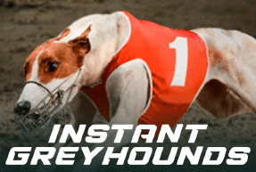 Play Instant Greyhounds