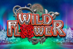 Play Wild Flower