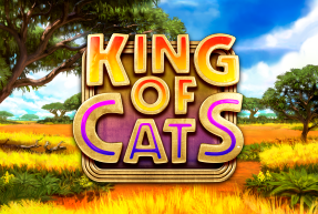 Play King of Cats