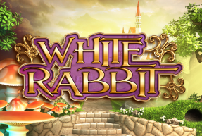 Play White Rabbit (No Drop)