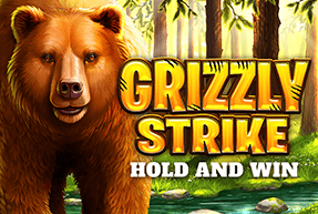 Play Grizzly Strike