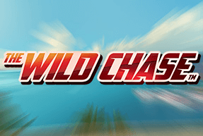 Play The Wild Chase