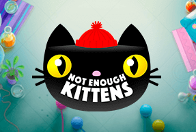 Play Not Enough Kittens