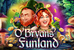 Play O'Bryans' Funland