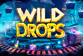 Play Wild Drops
