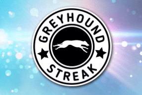 Play Greyhounds streak