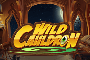 Play Wild Cauldron