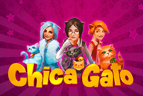 Play Chica Gato