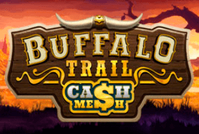 Play Buffalo Trail