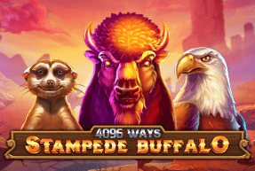 Stampede Buffalo 4096 Ways