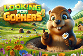Looking for Gophers