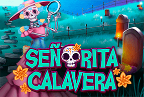Bingo Señorita Calavera Mobile