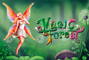 Play Magic Forest