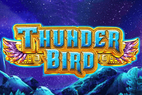 Play Thunder Bird