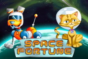 Play Space Fortune