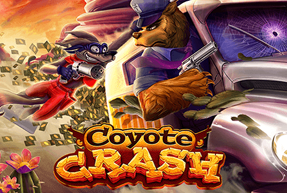 Play Coyote Crash