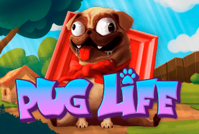 Play Pug Life