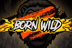 Play Born Wild 96%