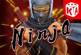 Play Ninja