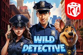 Play Wild Detective