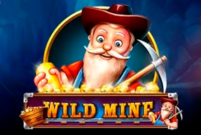 Play Wildmine