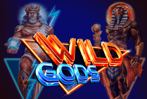 Play Wild Gods