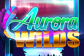 Play Aurora Wilds