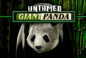 Play Untamed Giant Panda
