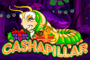 Play Cashapillar
