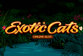 Play Exotic Cats