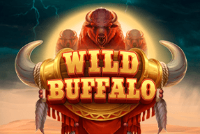 Wild Buffalo Mobile
