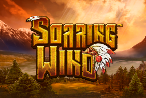 Soaring Wind