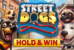 Street dogs Mobile