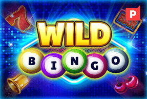 Play Wild Bingo