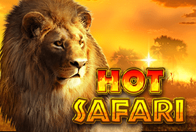 Hot Safari Mobile