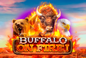 Play Buffalo on Fire