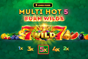 Play Multi Hot 5 Burn Wilds