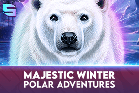 Play Majestic Winter - Polar Adventures