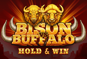 Play Bison vs Buffalo