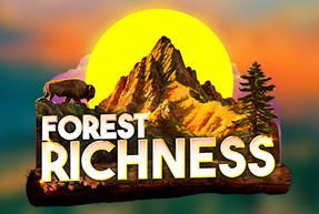 Play Forest Richness