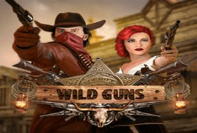 Play Wild Guns