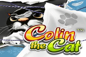 Play Colin The Cat™
