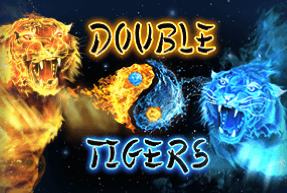 Play Double Tigers
