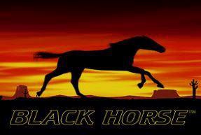 Play Black Horse™